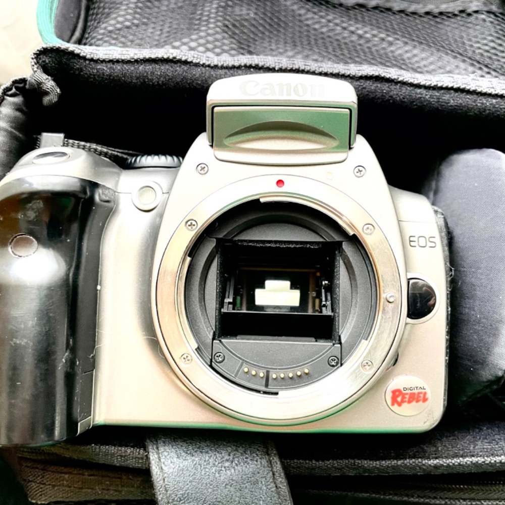 Canon EOS 300D Digital Rebel with Carry Case - Picture 11 of 16